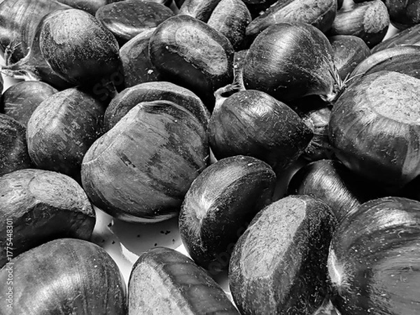 Fototapeta black and white grapes