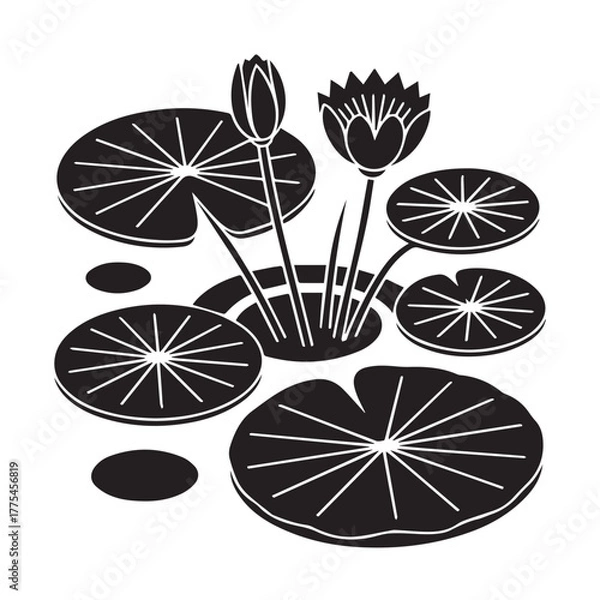 Obraz water lily 3.eps