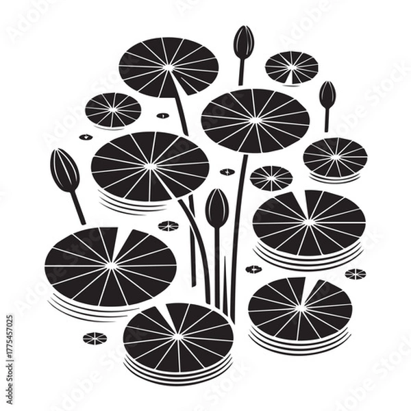 Obraz water lily 5.eps