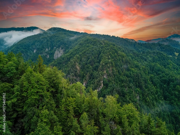 Fototapeta Green Forest Peaks Landscape At Red Sunset Time In The Romanian Carpathian Mountains