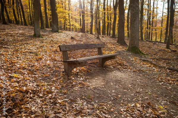 Fototapeta A Quiet Spot in Autumn