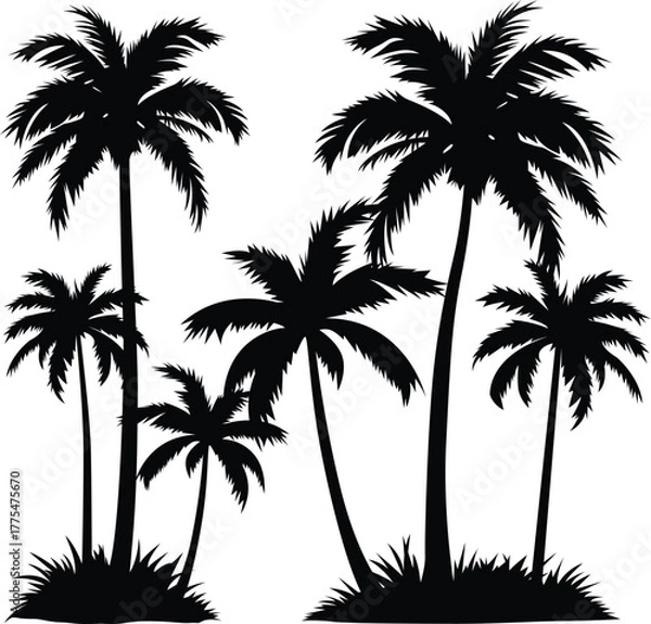 Obraz palm tree silhouette