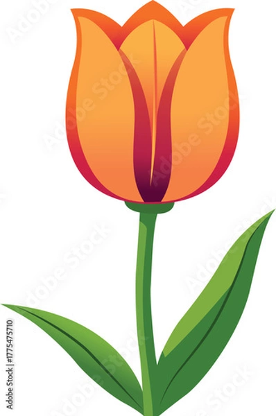 Obraz q1Adobe Illustrator Artwork