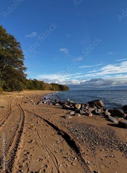 Obraz Rocky beach shoreline with tire tracks on sand and forested coast in sunlight.