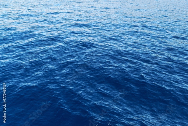 Fototapeta Vast blue ocean waves under clear sky