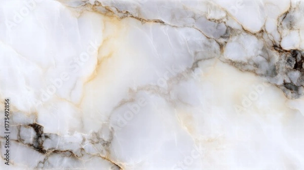 Obraz Translucent White Onyx or Marble Texture with Golden, Grey, and Brown Veining
