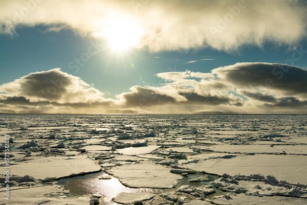 Fototapeta Sea ice in the Barents Sea near Franz Josef Land in summer 