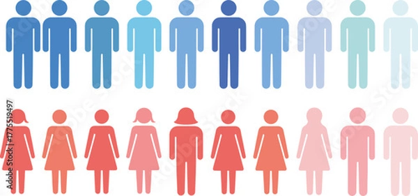 Fototapeta Gender distribution infographic, male female gradient, demographic comparison, population data, diversity concept, social statistics, equality visual, human icon chart