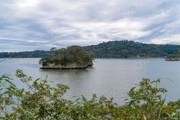 Obraz 日本三景に数えられる松島の風景