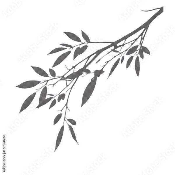Fototapeta Leaves shadow and tree branch isolated on transparent background. Natural leaves tree branch dark shadow and light from sunlight dappled. Decorative Design Element for Presentations. Realistic

