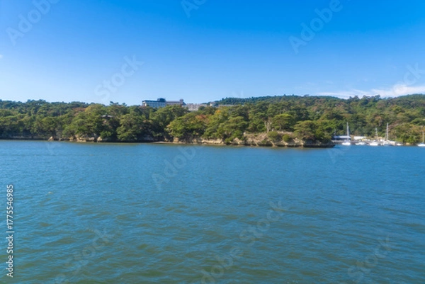 Obraz 日本三景に数えられる松島の風景