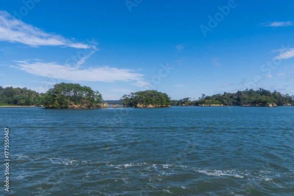 Obraz 日本三景に数えられる松島の風景