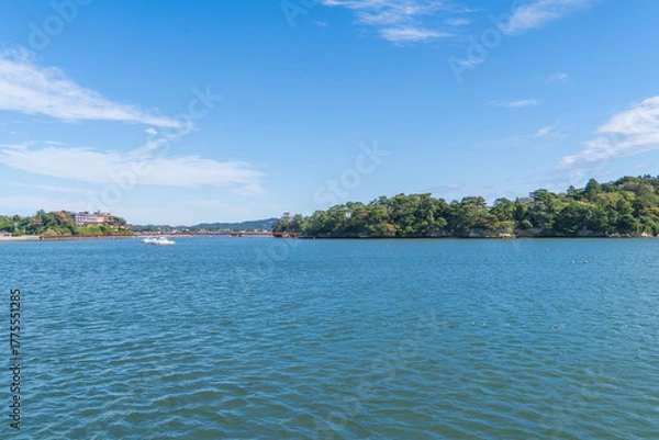 Obraz 日本三景に数えられる松島の風景