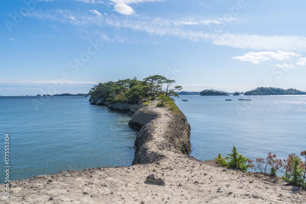 Obraz 日本の宮城県にある松島の馬の背の風景