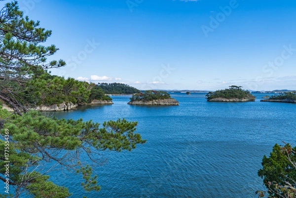 Obraz 日本三景に数えられる松島の風景