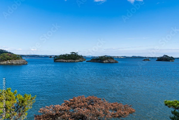 Obraz 日本三景に数えられる松島の風景