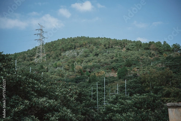 Obraz A power line tower stands against a green hill under a blue sky with clouds. A low-voltage line runs along the hillside. The image has a slightly muted color palette.