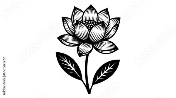 Fototapeta A black and white linocut-style illustration of a single lotus flower with eight petals.