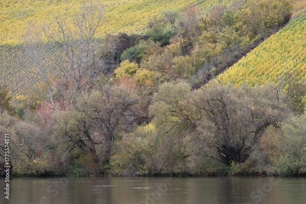 Fototapeta River in Autumn