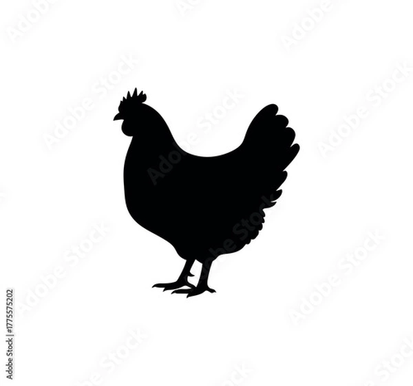 Obraz Farm chicken symbol for agriculture, food, and animal design. Chicken sign vector illustration design. Chicken silhouette on white background.