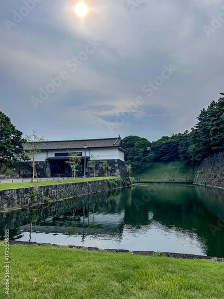 Fototapeta the river in the park, tokyo, japan