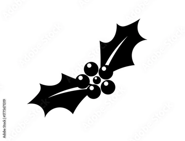 Obraz Black holly leaves with berries on isolated background