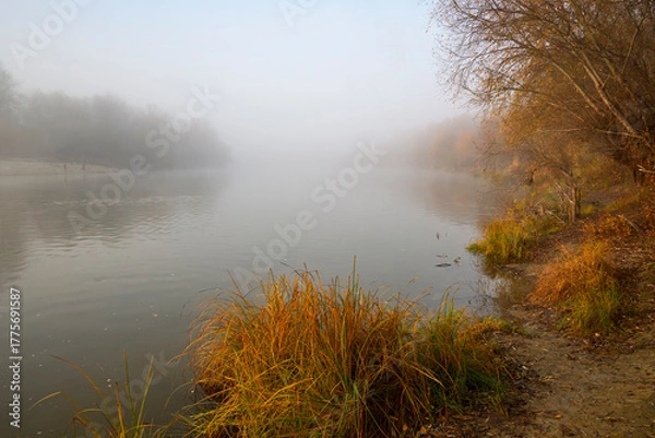 Fototapeta Foggy dawn in autumn by the river.