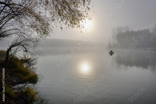 Obraz Foggy dawn in autumn by the river.