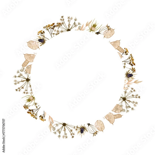 Fototapeta Watercolor dry grass and flowers wreath illustration. Isolated on white background. For fabric, wrapping, cards, banner, poster, invitation gift.
