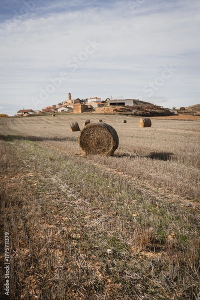 Fototapeta Close-up of a single hay bale on dry farmland after harvest, with a small town visible in the background.