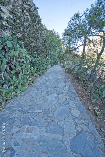 Obraz Stone path with cactus and pine trees in Nafplio, Peloponnese, Greece