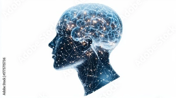 Fototapeta A futuristic representation of the human brain with intricate networking, symbolizing intelligence and innovation.