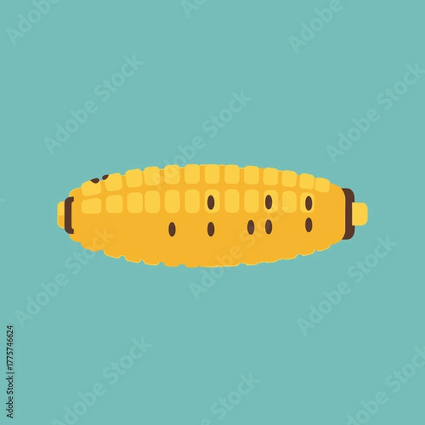Fototapeta A yellow corn cob with brown kernels is shown horizontally.