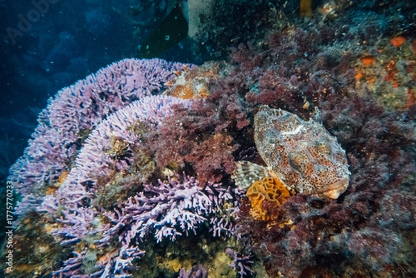 Obraz Farnsworth Pinnacles