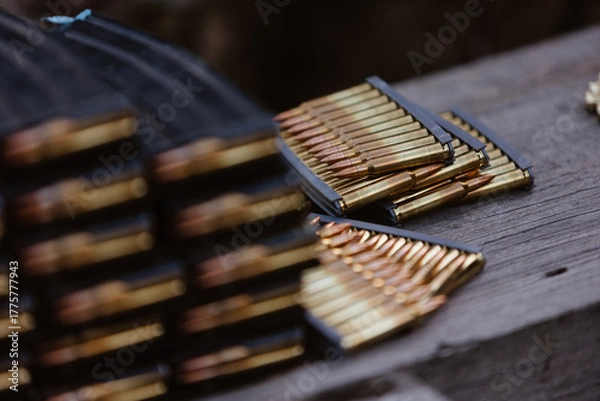 Obraz The ammunition prepared for loading.