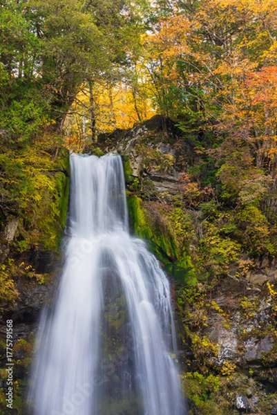 Obraz waterfall in autumn forest