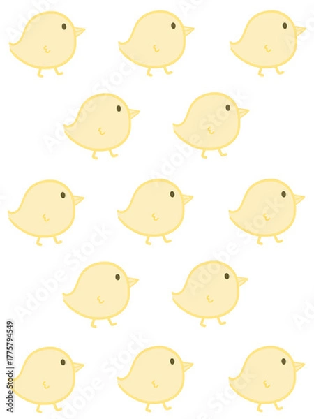 Fototapeta 병아리 배경