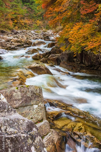 Obraz waterfall in autumn forest