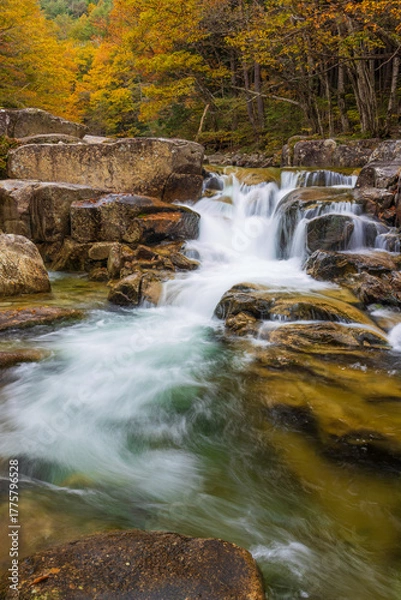 Obraz waterfall in autumn forest