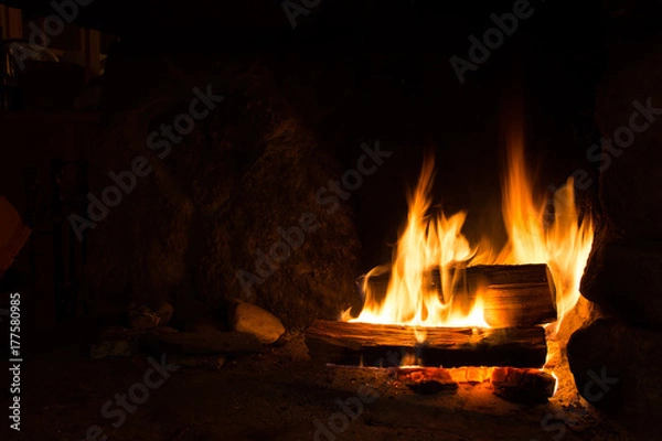 Fototapeta Burning logfire 