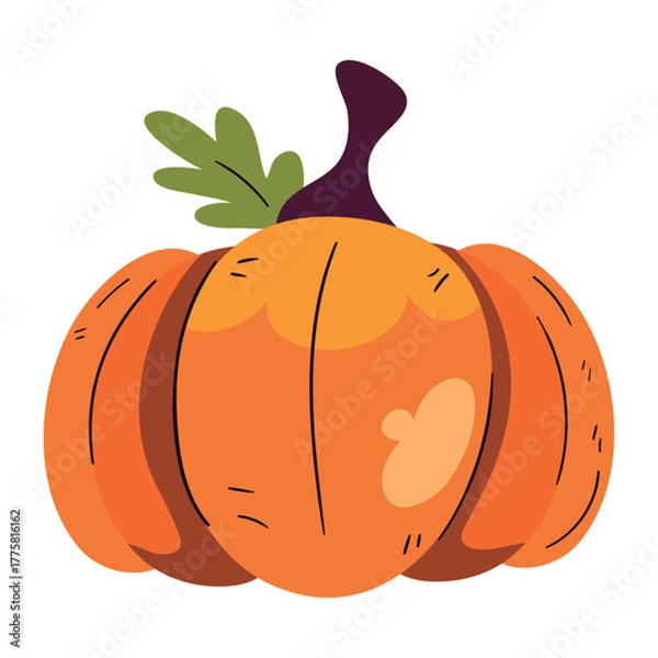 Fototapeta Flat Vector Illustration of an Autumn Pumpkin