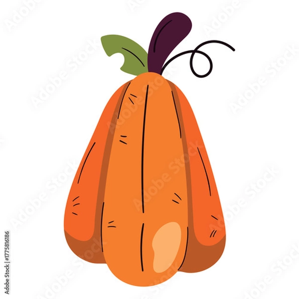 Fototapeta Flat Vector Illustration of an Autumn Pumpkin