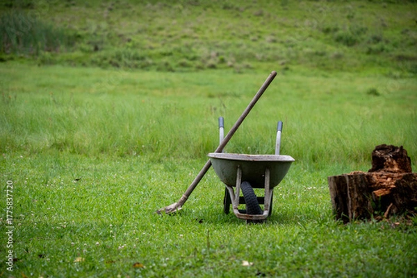 Obraz gardener with wheelbarrow