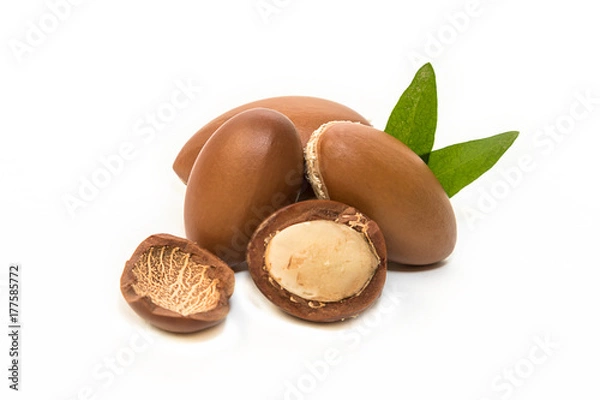 Fototapeta Argan seeds, for the production of oil. Very nutritious for skin and hair