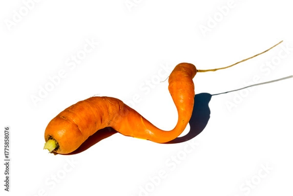 Obraz Screw-shaped carrots