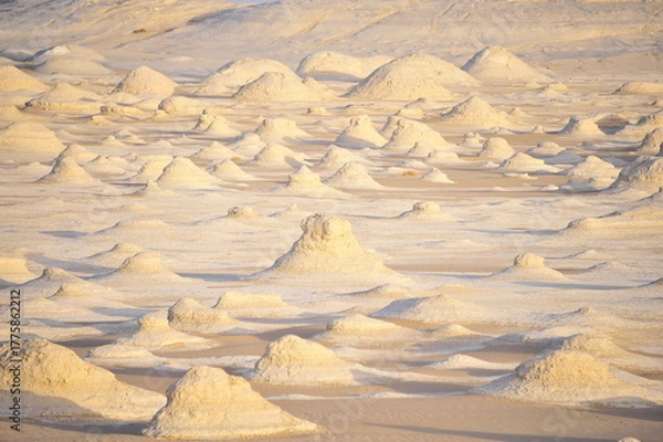 Obraz The White Desert