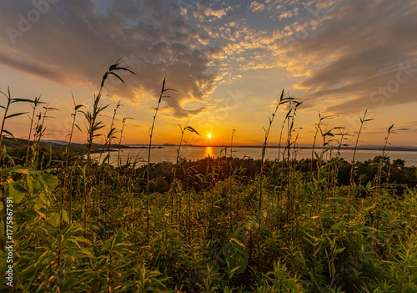 Fototapeta 夕日の輝く瀬戸内海