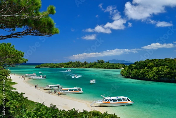Fototapeta 沖縄県　石垣島の海　川平湾