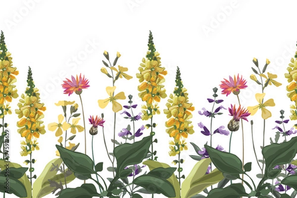 Fototapeta Vector floral seamless pattern, border