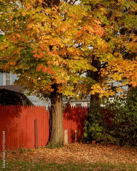 Obraz Autumn color in Dunkirk, New York